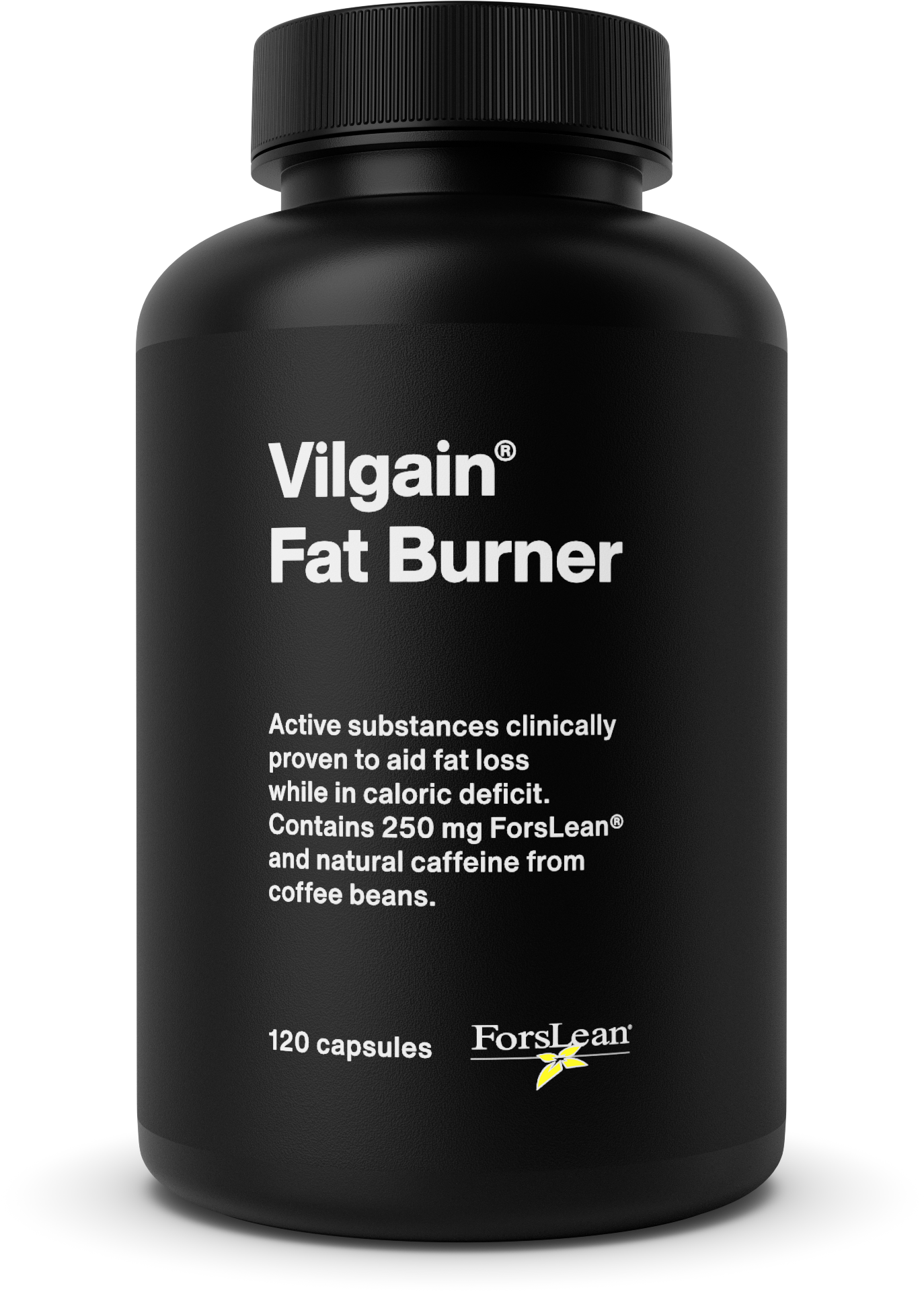Vilgain Fat Burner 120 tabliet