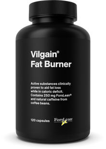 Vilgain Fat Burner 120 tabliet